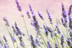 Enhance Your Bath Experience with these 5 Relaxing Essential Oil Combinations for Bath Bombs