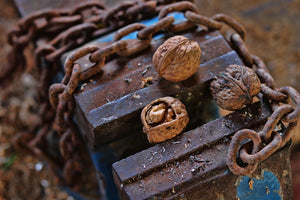 The Rise of Vintage Sweets in Modern Culture