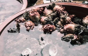 Exploring Seasonal Bath Bomb Trends