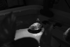 Troubleshooting Your Homemade Bath Bomb Creations