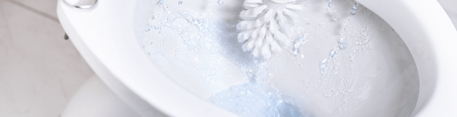 TOILET FIZZ