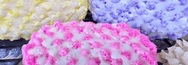 Soap Sponges