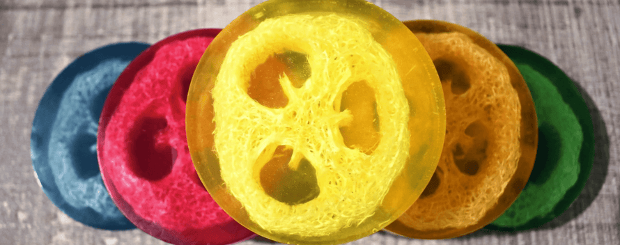 EXFOLIATING LOOFAH SOAP