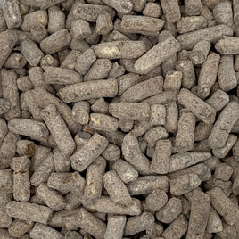Original Choc Nibbles