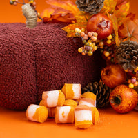 Pumpkin Spice Mini Bath Bombs