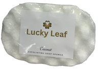 Coconut Soap Sponge