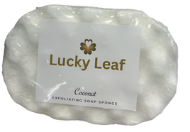 Coconut Soap Sponge