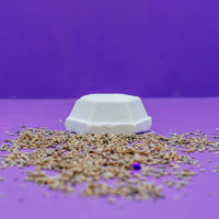 Enticing Shower Steamer