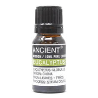 Eucalyptus Pure Essential Oil