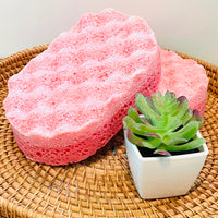Candy Cane Soap Sponge